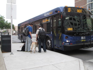 Dos personas ciegas junto a sus perros de asistencia se bajan de un bus / Fuente: Integrados Chile.