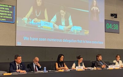 Comité ONU examina a Chile: informe revela que sólo 20,4% de las personas con discapacidad cuenta con registro oficial